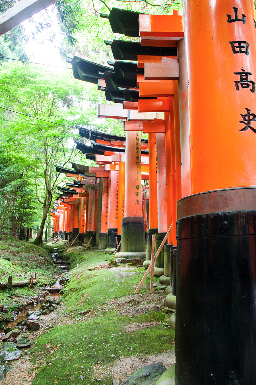 fushimi inari kyoto