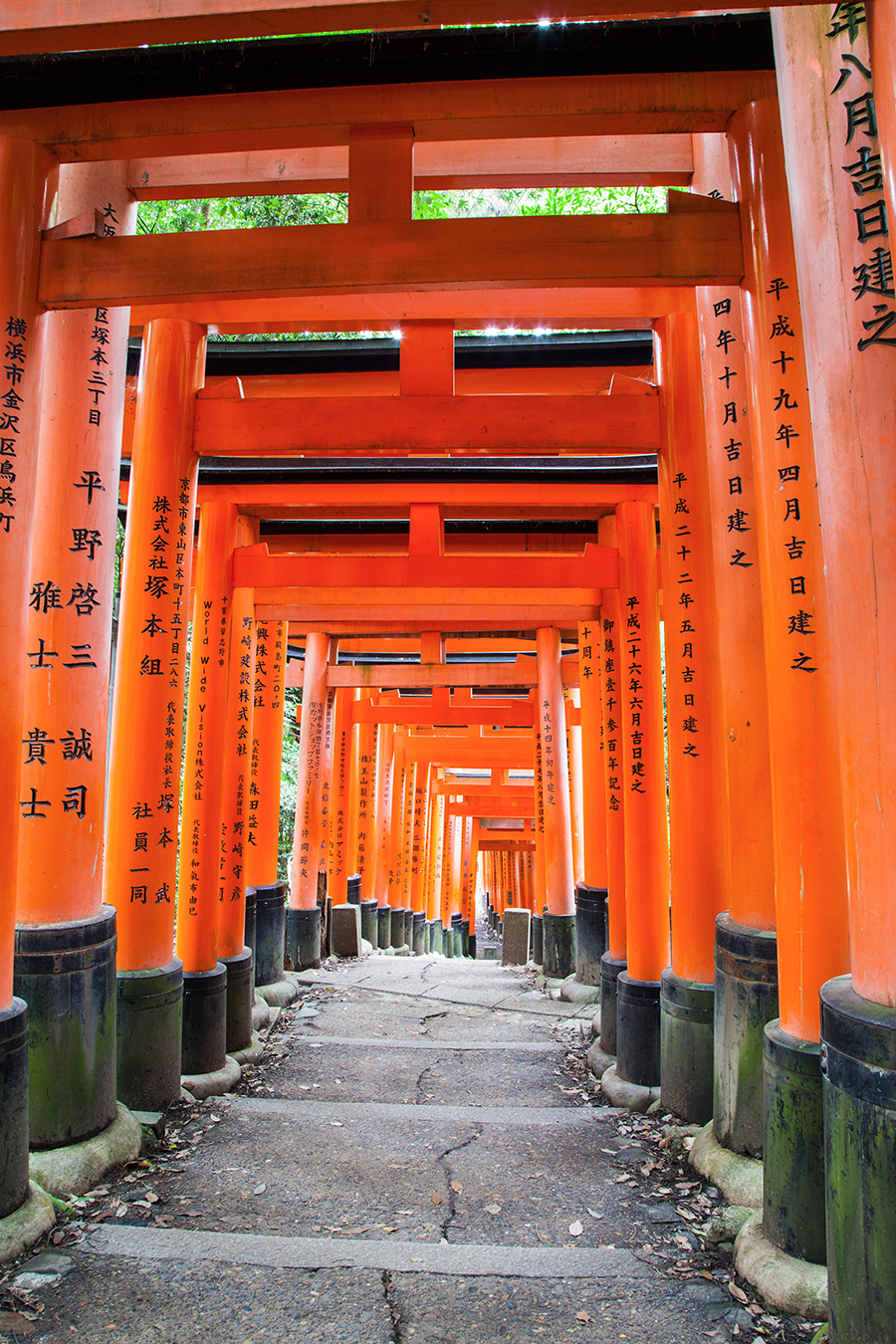 kyoto fushimi inari collina con tori rossi