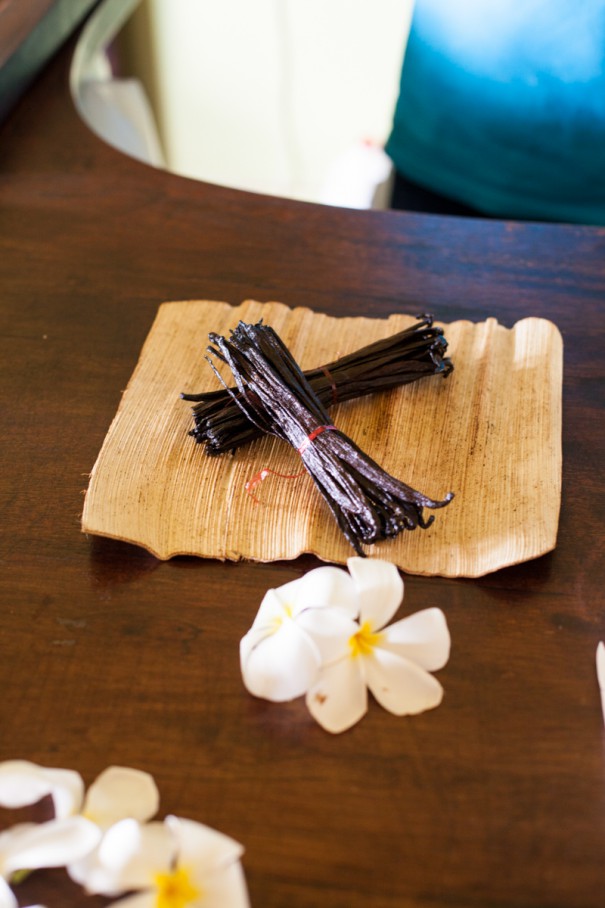 mauritius dove comprare la vanilla | vanilla di mauritius