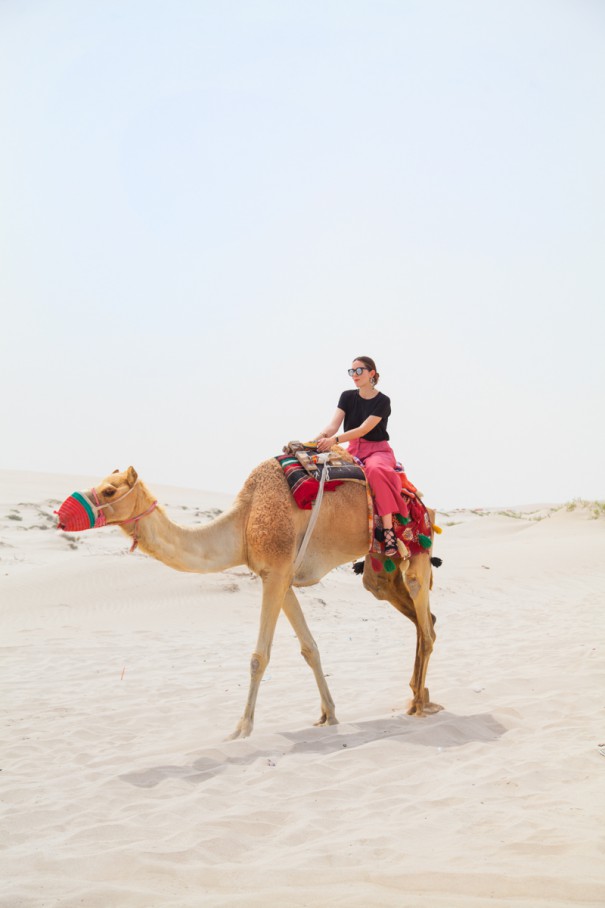 deserto del Qatar | cosa vedere nel deserto | cosa fare nel deserto