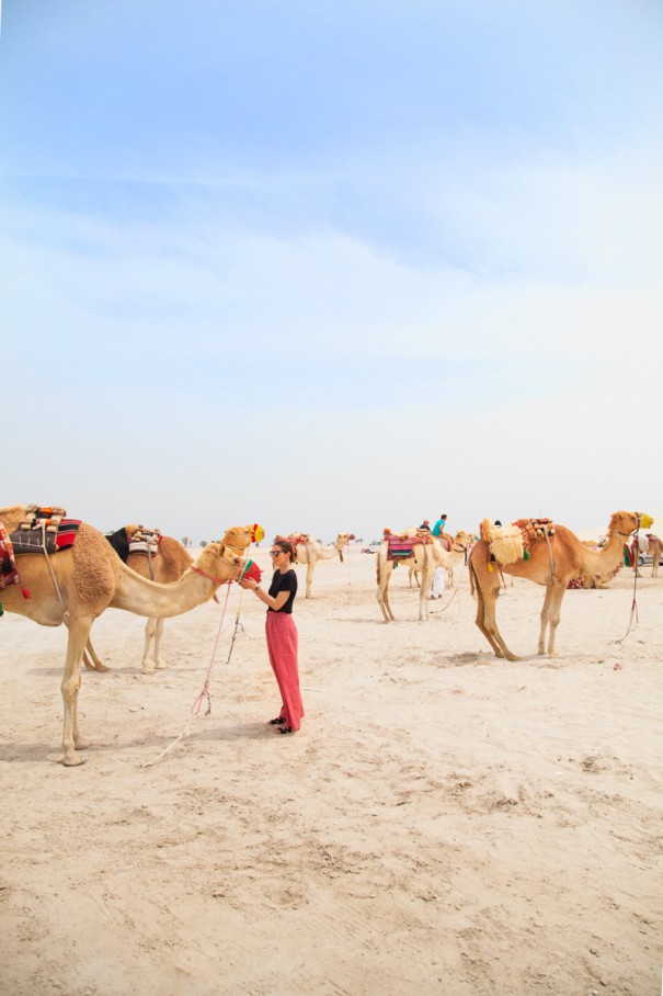 deserto del Qatar | cosa vedere nel deserto | cosa fare nel deserto