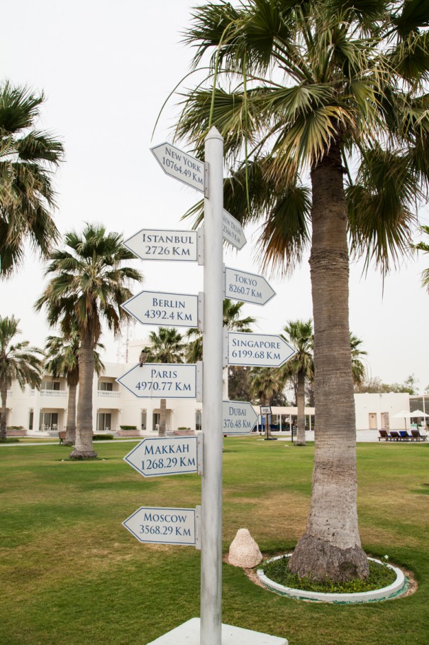 deserto del Qatar | cosa vedere nel deserto | cosa fare nel deserto deserto del Qatar | cosa vedere nel deserto | cosa fare nel deserto
