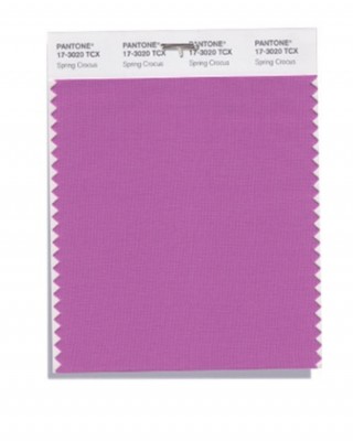 glicine colori trend 2018