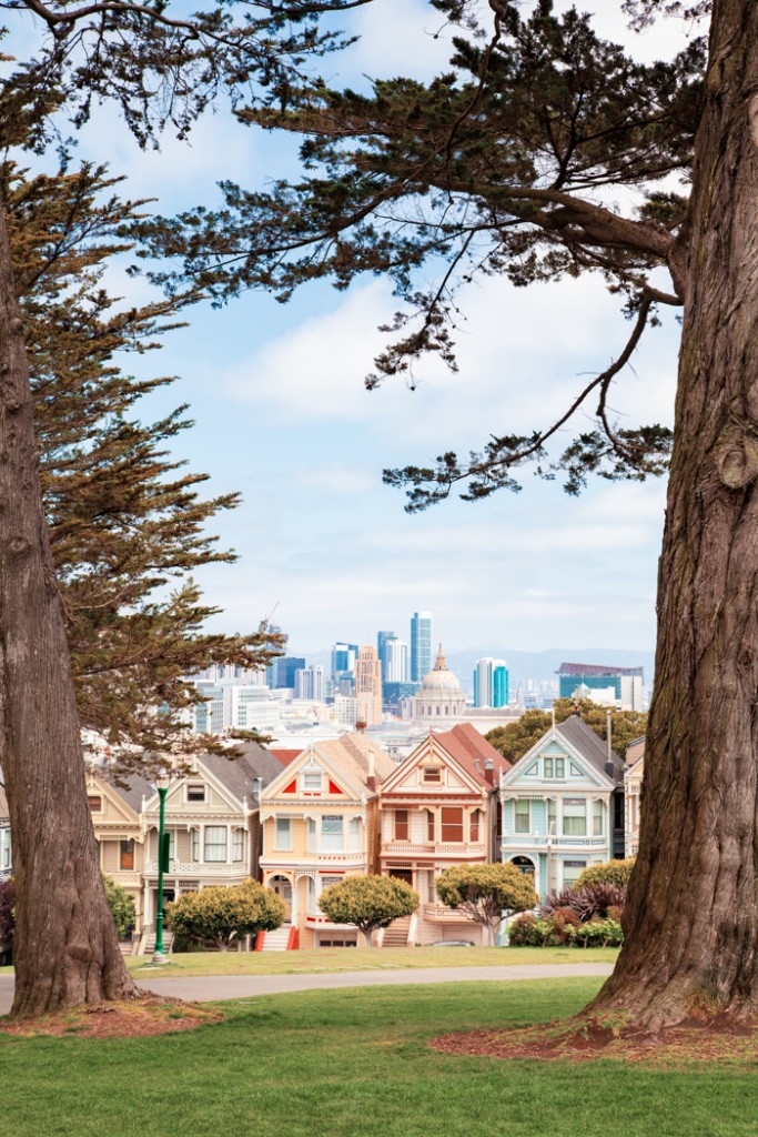 cosa vedere in california san francisco e sequoia park-27