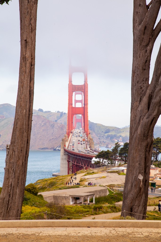 cosa vedere in california san francisco e sequoia park-32