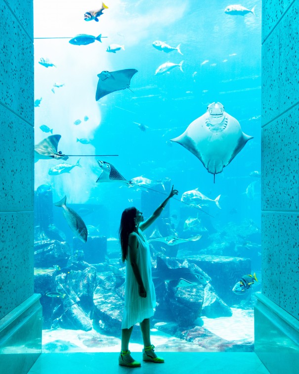 acquario Dubai