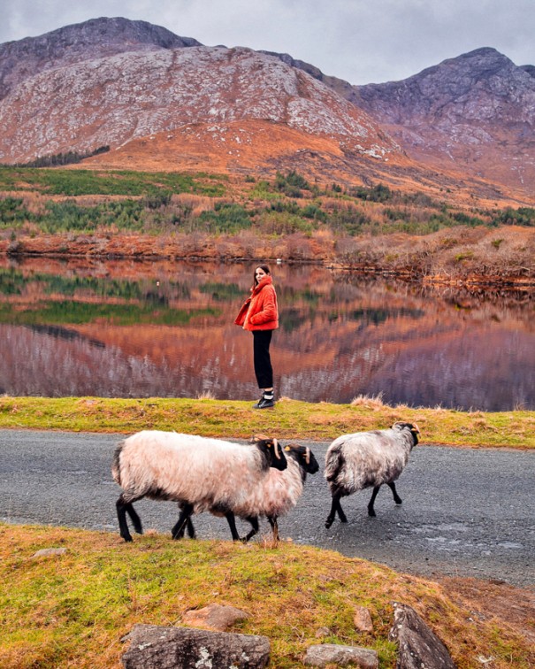 cosa vedere a dublino e in irlanda-16