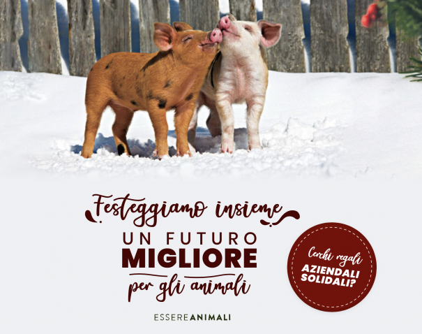 Schermata 2020-12-05 alle 17.12.34